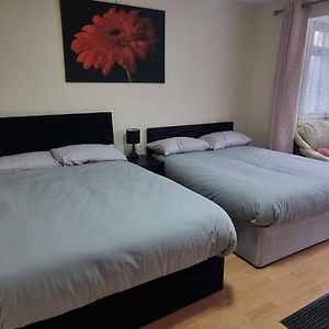Star Homes